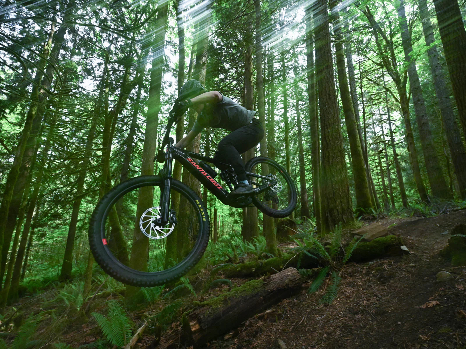 Santa Cruz