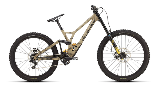 Demo Race